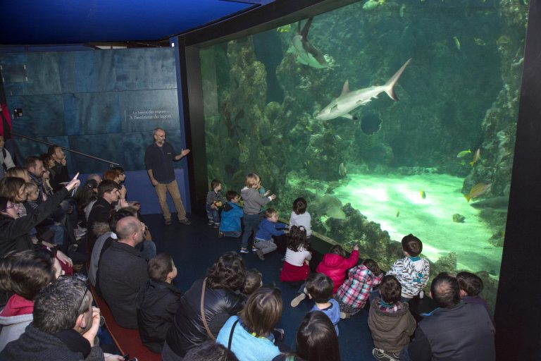 photo DÉCOUVERTE DES ESPÈCES RARES ET PRÉSERVÉES À BREST