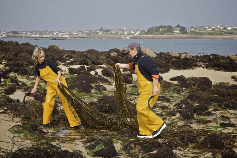 photo JOURNÉE OMEGA 3 À ROSCOFF