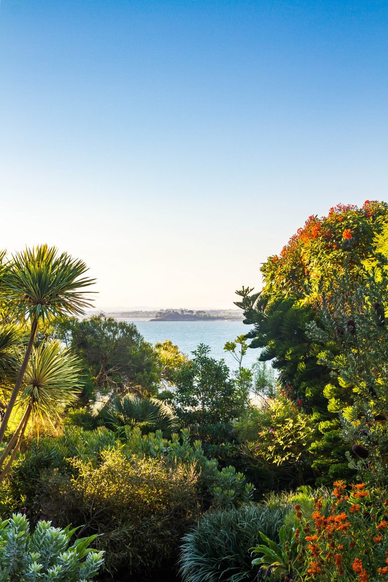 Les activités dans le Finistère : JARDIN EXOTIQUE ET BOTANIQUE