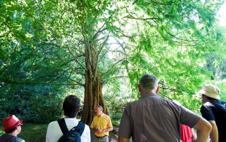 Les activités dans le Finistère : JARDIN DU CONSERVATOIRE BOTANIQUE NATIONAL DE BREST