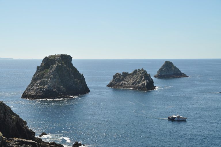 Les activités dans le Finistère : VEDETTES SIRENES