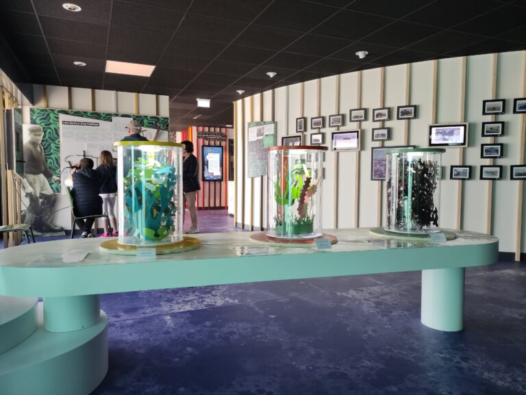 Les activités dans le Finistère - MAISON DE L'ALGUE