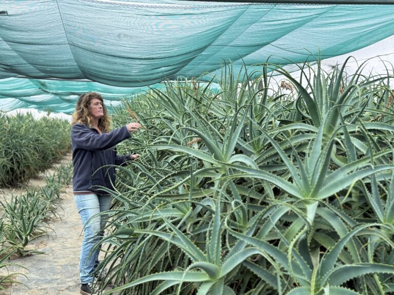 Les activités dans le Finistère : ESPRIT SAFRAN & CIE